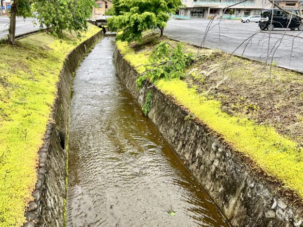 令和７年 春の川浚え